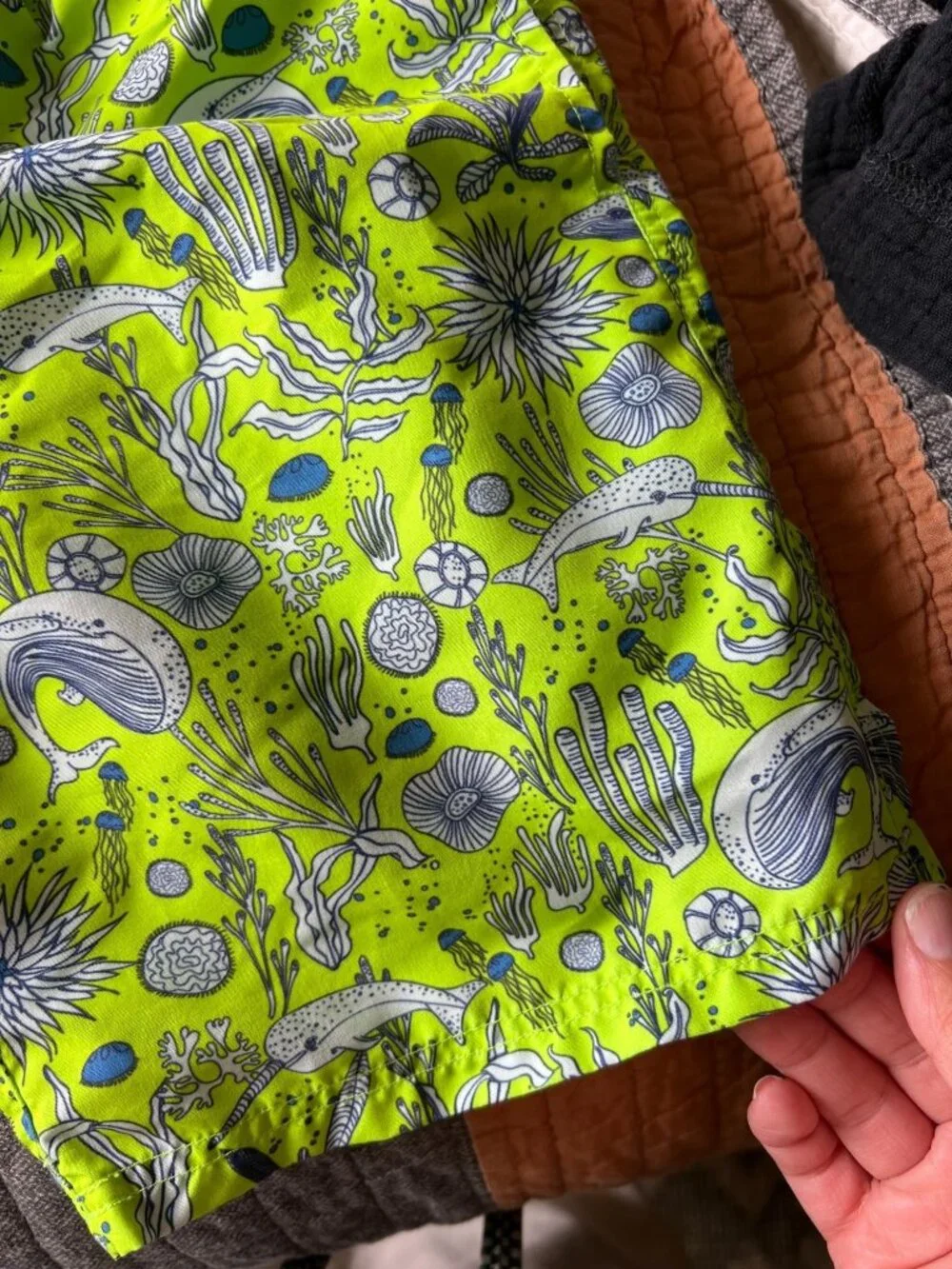 Lime Green Marine Life Patterned  Swim Trunk Shorts by EGG susan Lazar Size 8